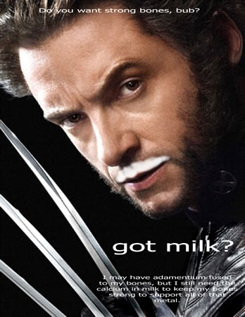 California Milk Processor Board: Got Milk
