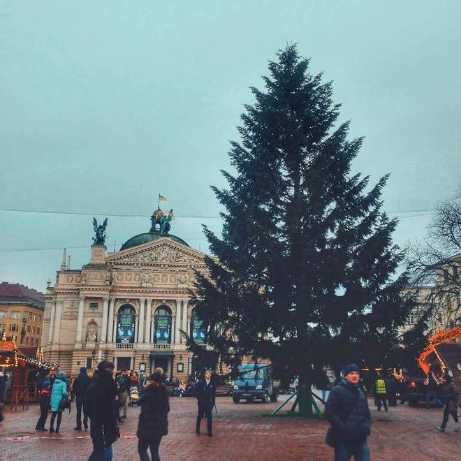 Багато хто з нас проводять новорічні свята у Львові - місті, де відзначати Новий рік і Різдво - це значить побувати в зимовій казці
